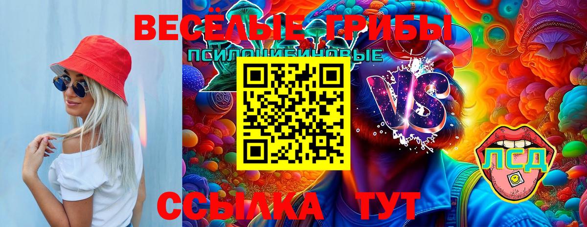 Псилоцибиновые грибы MAGIC MUSHROOMS  Вход с VPN  Большой Камень 